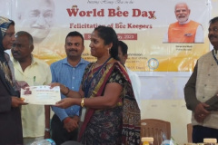 Awards-11