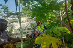 KVK-THENI-CFLD-FIELD-VISIT-AT-ANNUPAPATTI-2