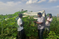 KVK-THENI-CFLD-FIELD-VISIT-AT-ANNUPATTI