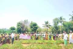 KVK-Theni_CFLD-Oilseeds_Field-day_Kathirnarasingapuram