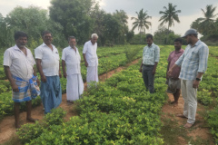 KVK-Theni_CFLD-Oilseeds_Ground_Farmers-Scientist-Interaction-Meeting_Mayandipatti-Village