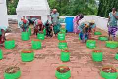 KVK-Theni_-Infrastructure-_-Terrace-Garden-Unit-2