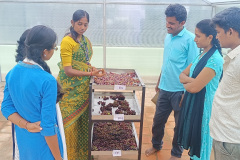 KVK-Theni_Solar-dryer-Demo-unit