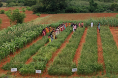 Theni-KVK_millet-cafeteria-Unit