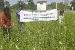 IMG-20230518-WA0018