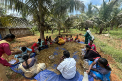 STRY-Programme-Mushroom-Production-Techniques-1-1-1