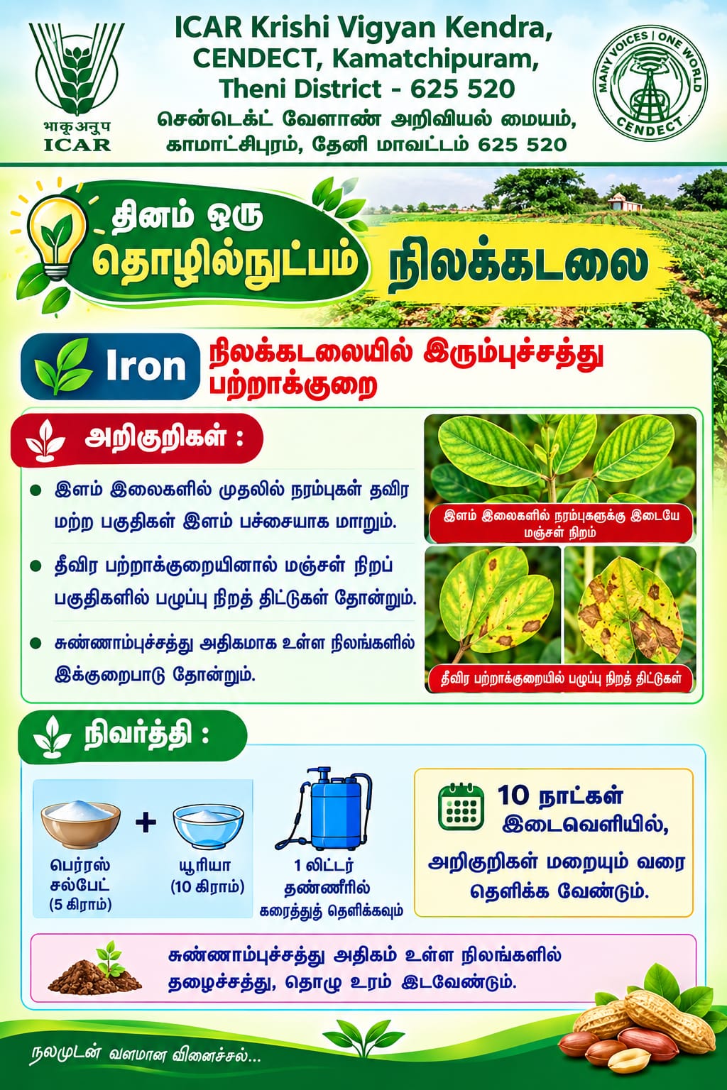 Fish Amino Acid